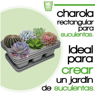 Foto 2 | Kit de 3 Charola Moderna Rectangular para Suculentas - Smart Garden color Gris