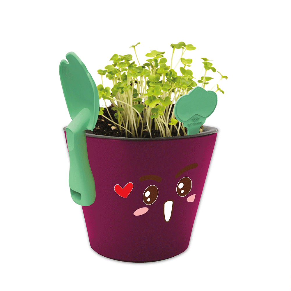 Foto 2 pulgar | Kit Educativo Juguete Didáctico para Niños Aprendizaje de Vocabulario Inglés Español - Germinación de Plantas Come