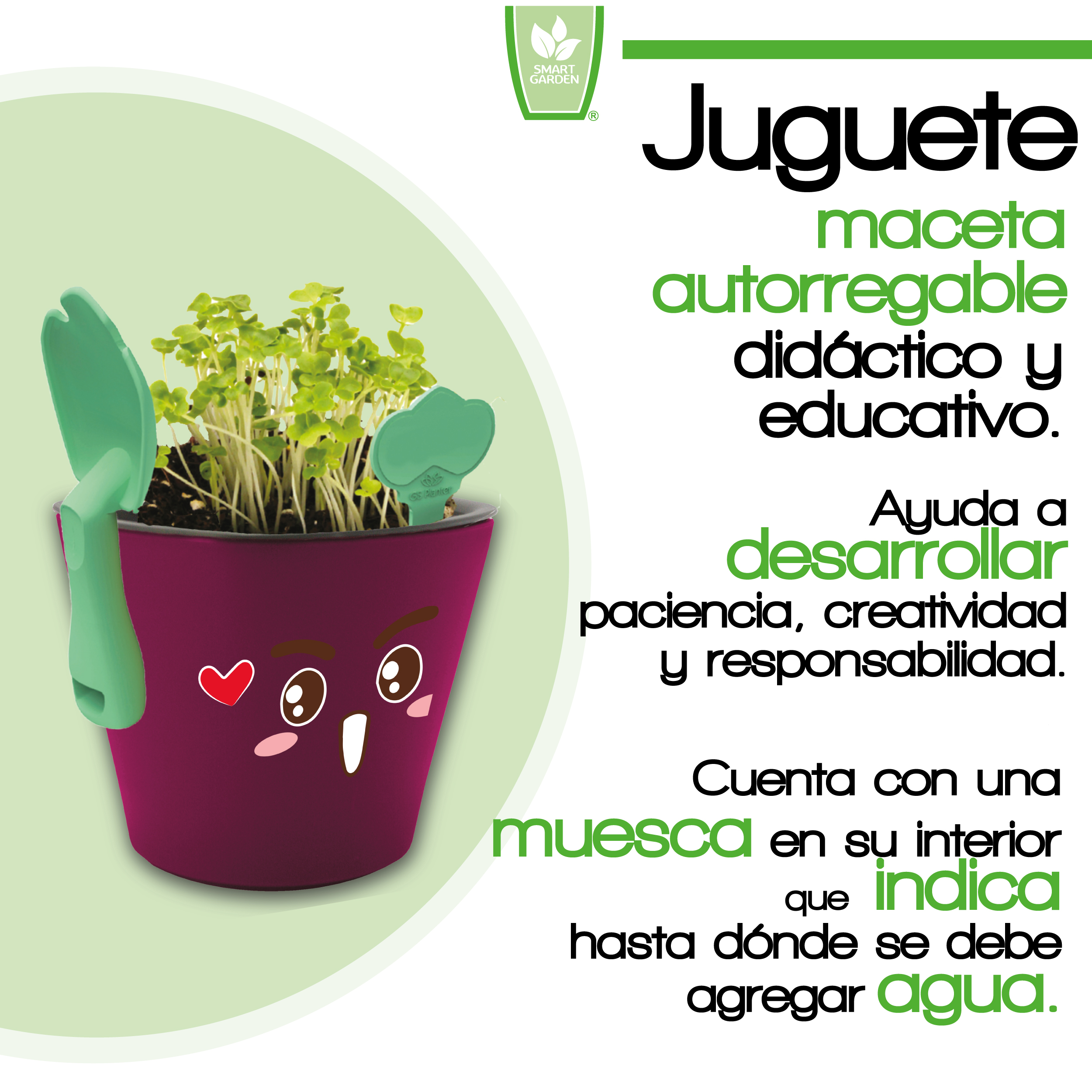 Foto 3 pulgar | Kit Educativo Juguete Didáctico para Niños Aprendizaje de Vocabulario Inglés Español - Germinación de Plantas Come