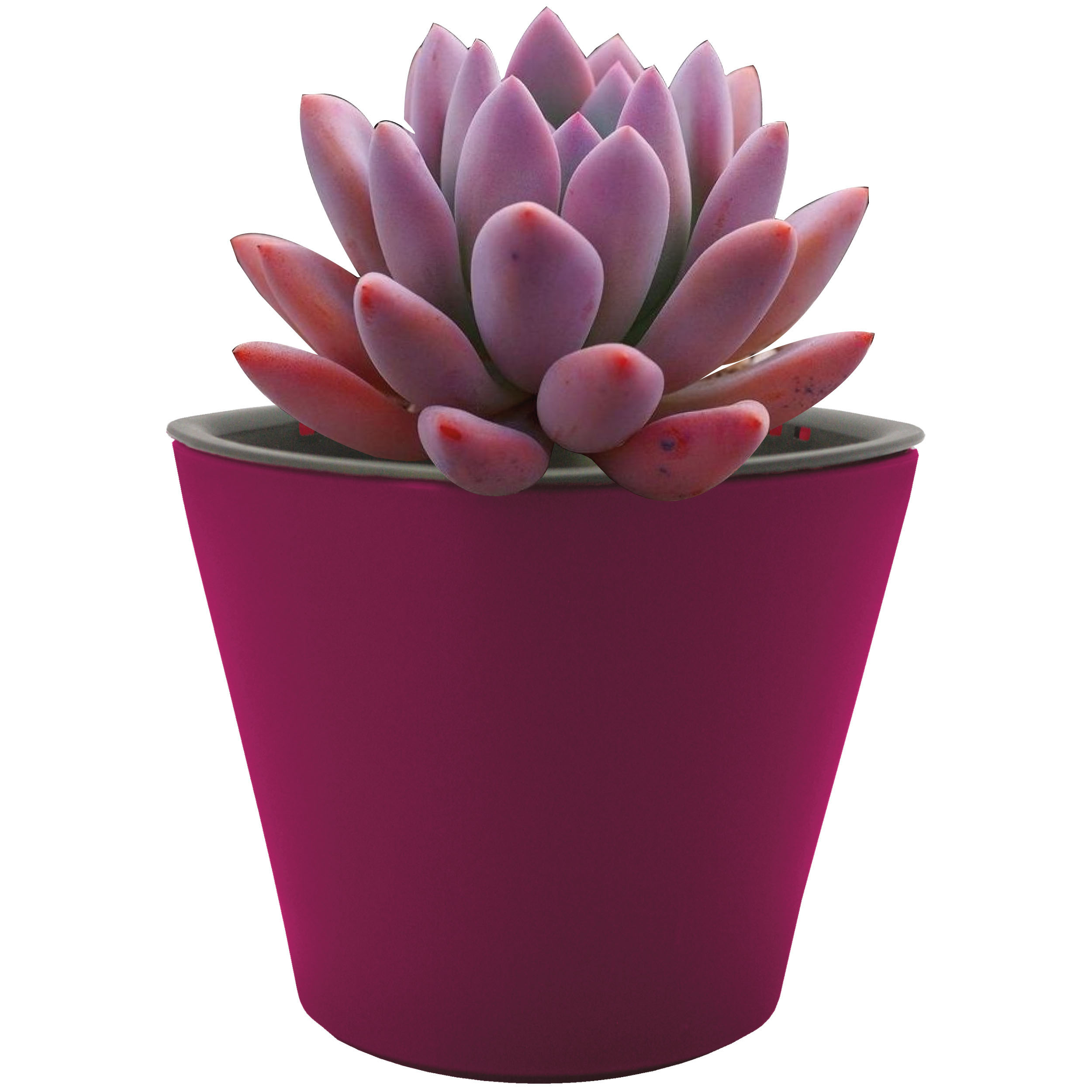 Maceta Autorregable Oc1009 - Smart Garden Rouge Brilloso