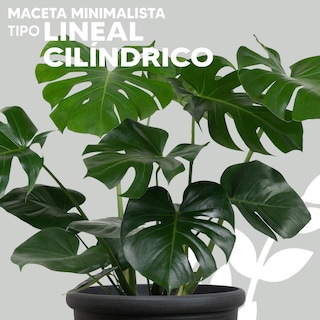 Foto 5 | Maceta Minimalista Jauz Improvement J0081 Gris