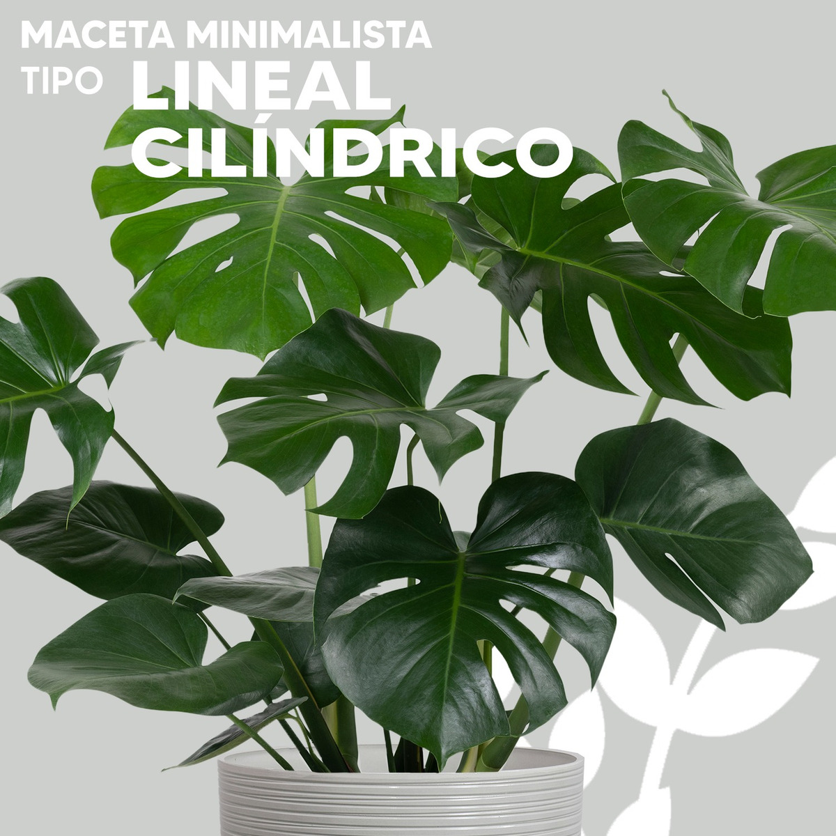 Foto 2 | Maceta Minimalista Jauz Cilindrica Blanco Premium