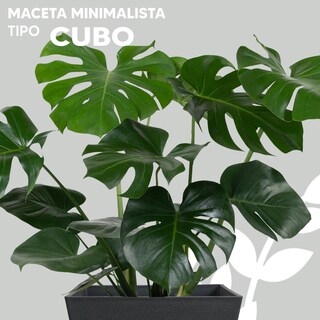 Foto 3 | Maceta Minimalista Jauz Improvement J0074 Gris
