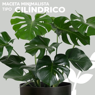 Foto 3 | Maceta Minimalista Jauz Circular Negro