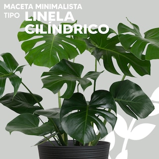 Foto 2 | Maceta Minimalista Jauz Improvement J0083 Gris