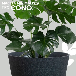 Foto 2 | Maceta Minimalista Tipo Cono Jauz Improvement J0050 Gris