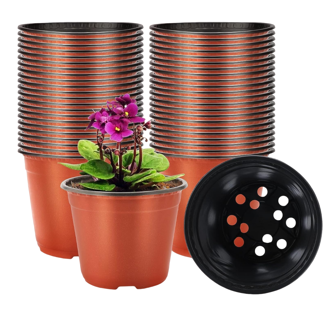 Macetitas Terracota Cactus 100 Pzs Marrón Rojizo/negro