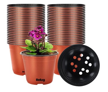 Foto 1 | Macetitas Terracota Cactus 100 Pzs Marrón Rojizo/negro