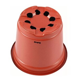 Foto 4 | Macetitas Terracota Cactus 100 Pzs Marrón Rojizo/negro