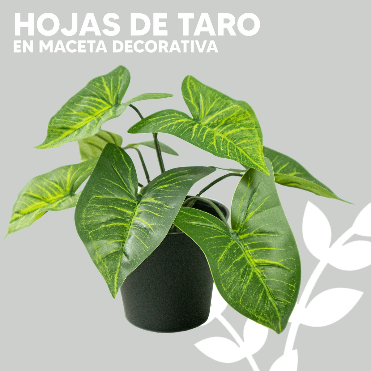 Foto 4 pulgar | Hojas De Taro De Plástico Jauz para Interior Minimalista 3 Piezas