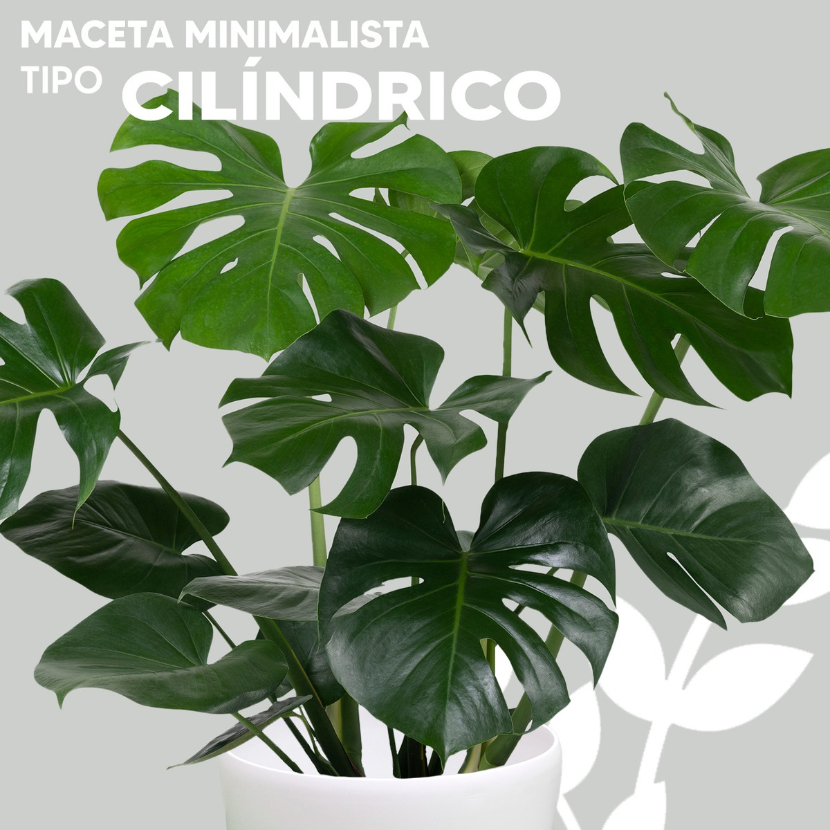 Foto 2 | Maceta Vintage Jauz Tipo Cilindro color Blanco