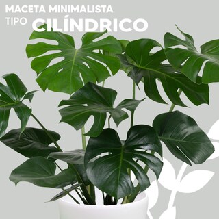 Foto 2 | Maceta Vintage Jauz Tipo Cilindro color Blanco