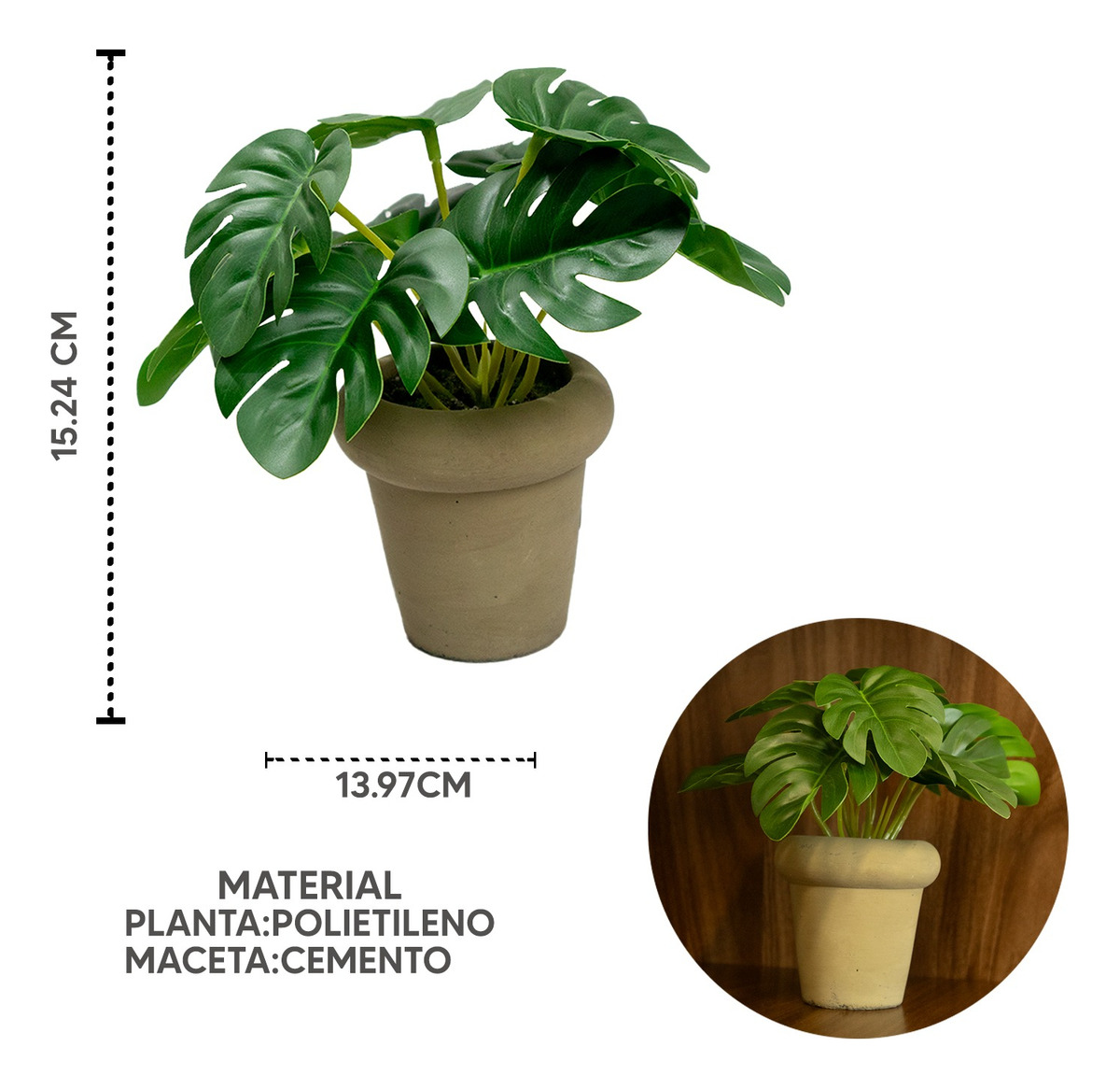 Foto 3 pulgar | Planta Monstera Jauz en Maceta de Cemento de 15cm para Decoración Interior