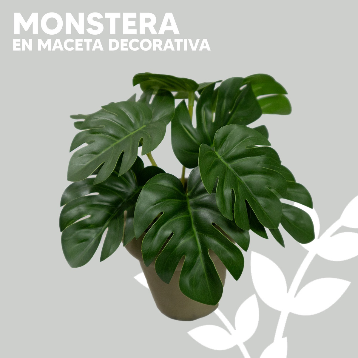 Foto 4 pulgar | Planta Monstera Jauz en Maceta de Cemento de 15cm para Decoración Interior