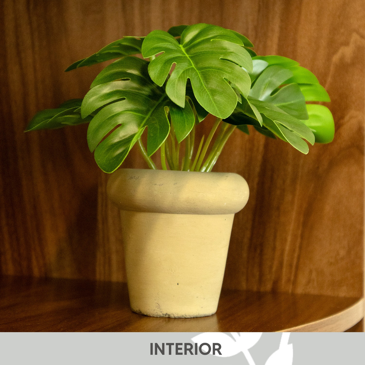 Foto 5 pulgar | Planta Monstera Jauz en Maceta de Cemento de 15cm para Decoración Interior