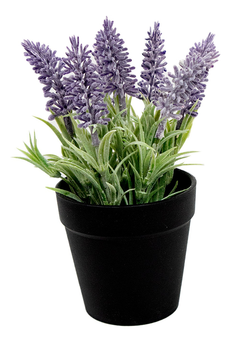 Lavanda en Maceta Jauz de Plástico con Aroma Relajante y Duradero