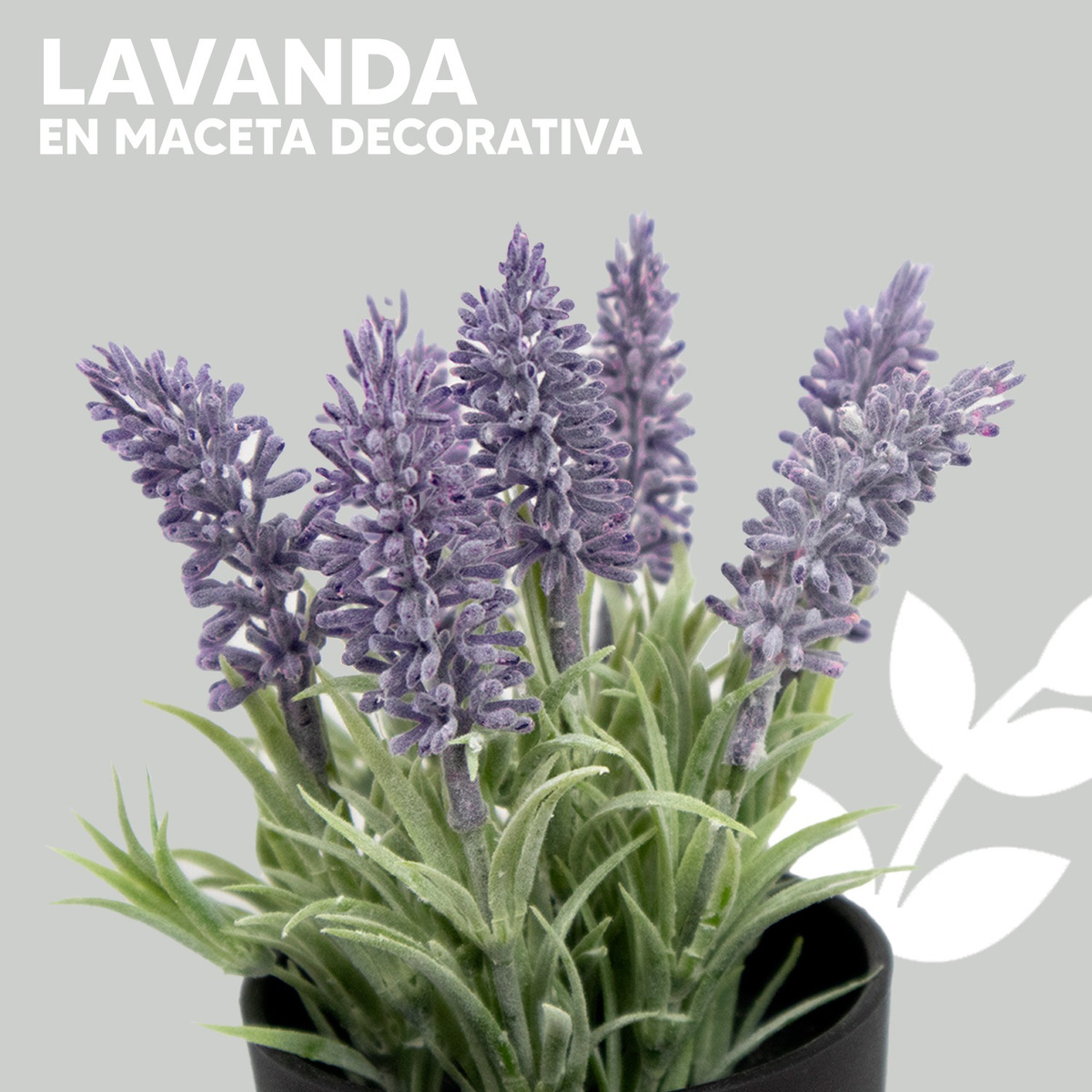 Foto 5 pulgar | Lavanda en Maceta Jauz de Plástico con Aroma Relajante y Duradero