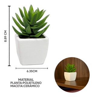 Foto 2 | Suculenta en Maceta Mini de Cerámica Jauz Cuadrada color Blanco 3 Piezas