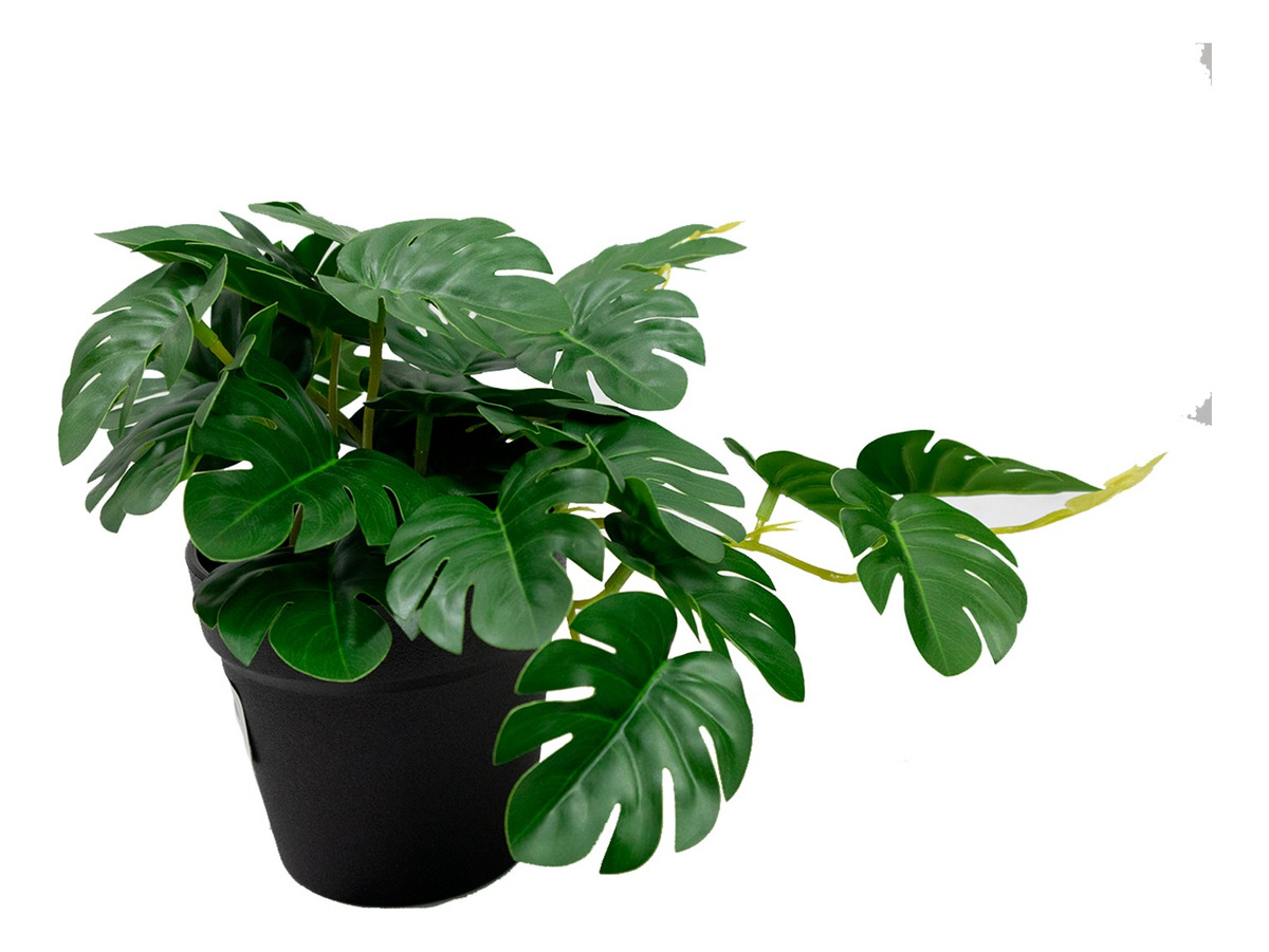 Planta Artificial Jauz Monstera En Maceta De Plástico Negro 19 cm