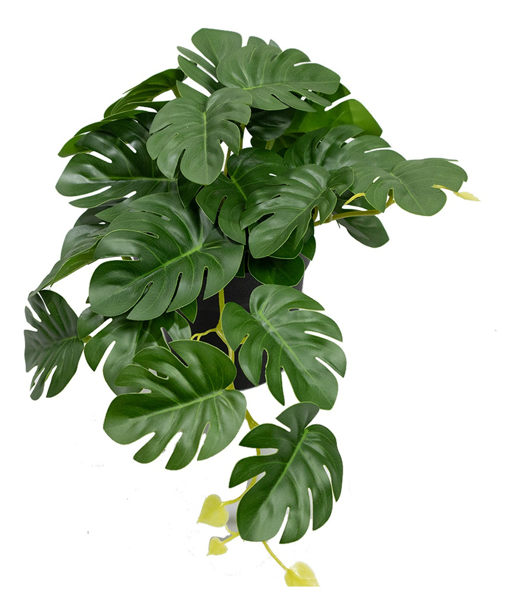 Foto 4 pulgar | Planta Artificial Jauz Monstera En Maceta De Plástico Negro 19 cm