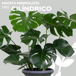 Foto 2 | Maceta Vintage Jauz Gris Tipo Cilindro