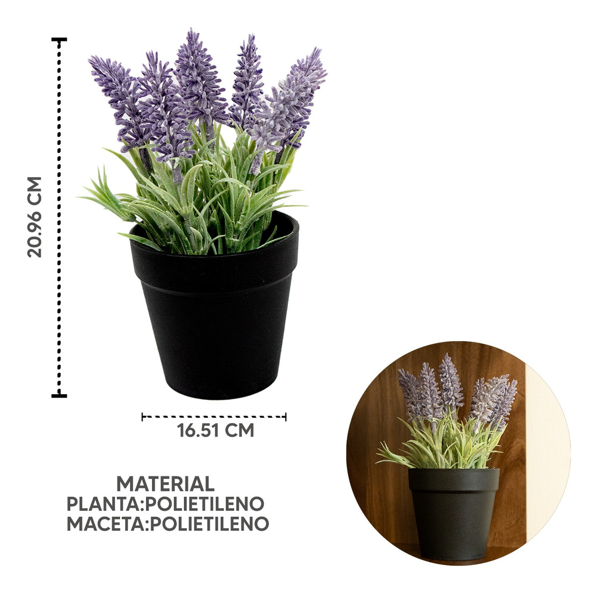 Foto 3 pulgar | Lavanda en Maceta de Plástico para Decorar y Aromatizar tu Hogar - Modelo Interior 20cm