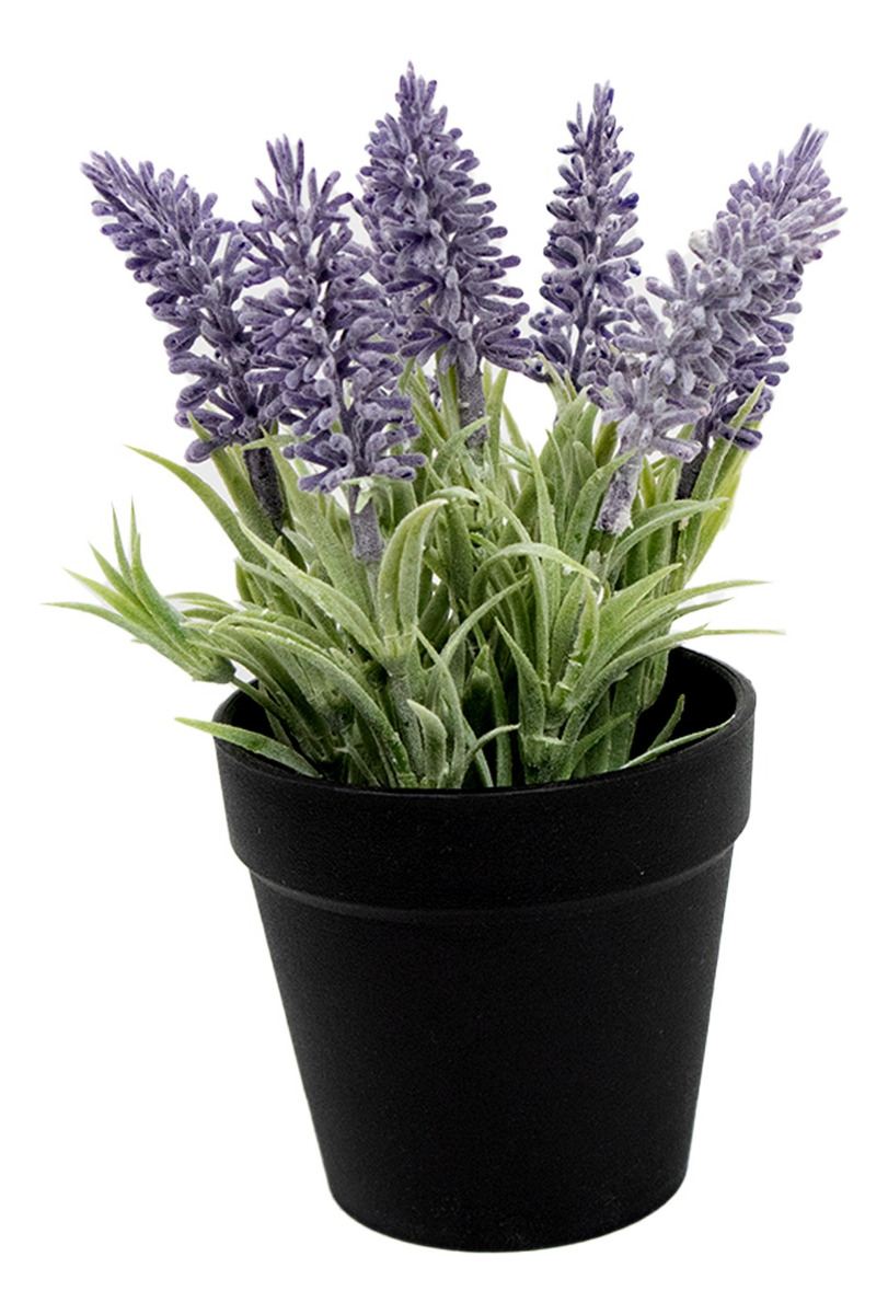 Foto 4 pulgar | Lavanda en Maceta de Plástico para Decorar y Aromatizar tu Hogar - Modelo Interior 20cm