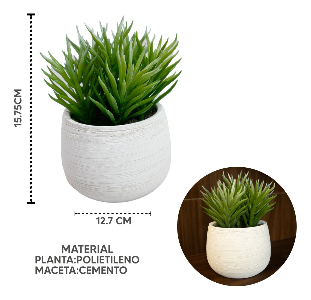 Foto 2 | Suculenta en Maceta de Cemento Blanco Premium 15cm - Jauz Improvement