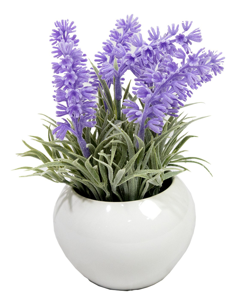 Foto 7 pulgar | Set de Mejora Jauz 3pz con Lavanda en Maceta de Cerámica Minimalista de 22 cm para Interiores