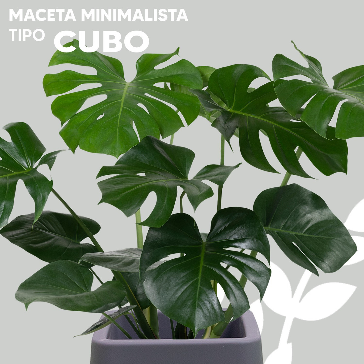 Foto 2 | Maceta Minimalista Jauz para Interior y Exterior Tipo Cubo Elegante