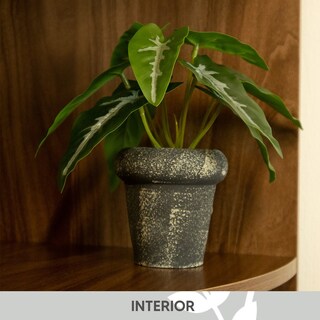 Foto 4 | Jauz Improvement Hojas De Taro En Maceta De Cemento 16 Cm Color Negro (j0490)