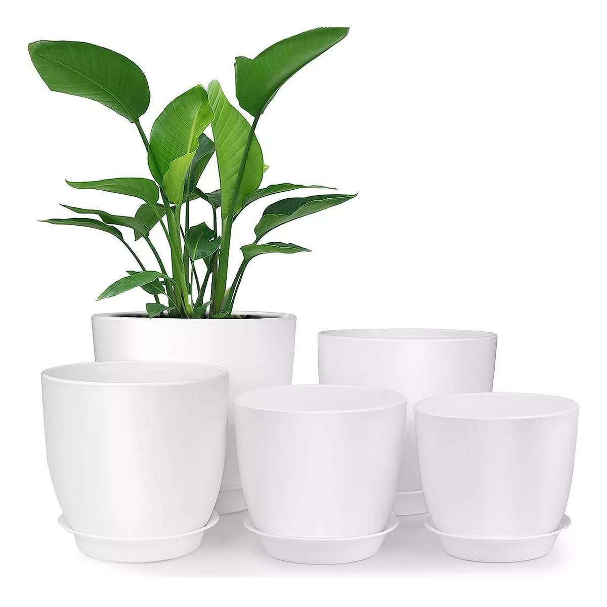 5 Pcs Macetas De Plástico Con Riego Automático Para Plantas Eo Safe Imports Esi-17622 Blanco