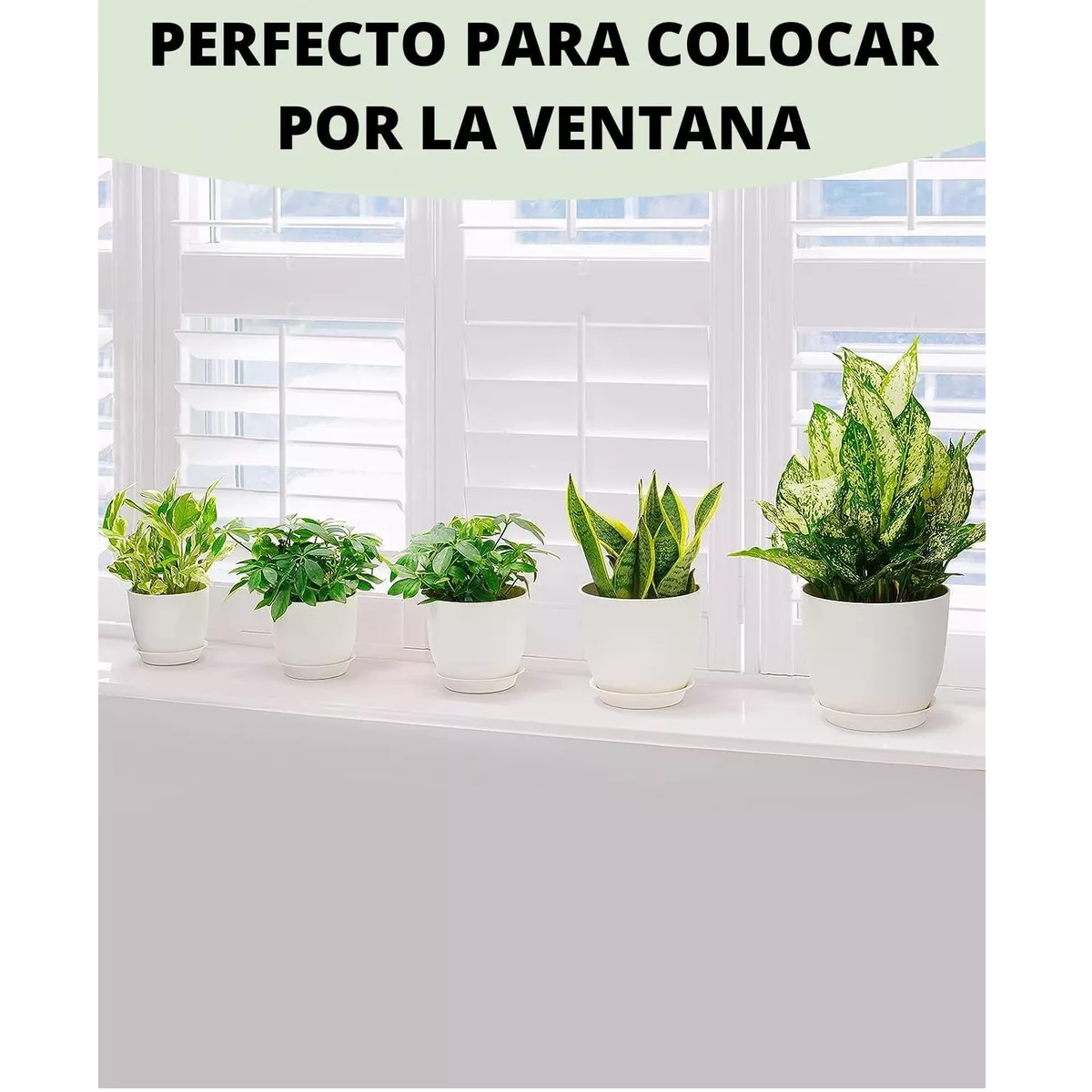 Foto 3 pulgar | 5 Pcs Macetas De Plástico Con Riego Automático Para Plantas Eo Safe Imports Esi-17622 Blanco