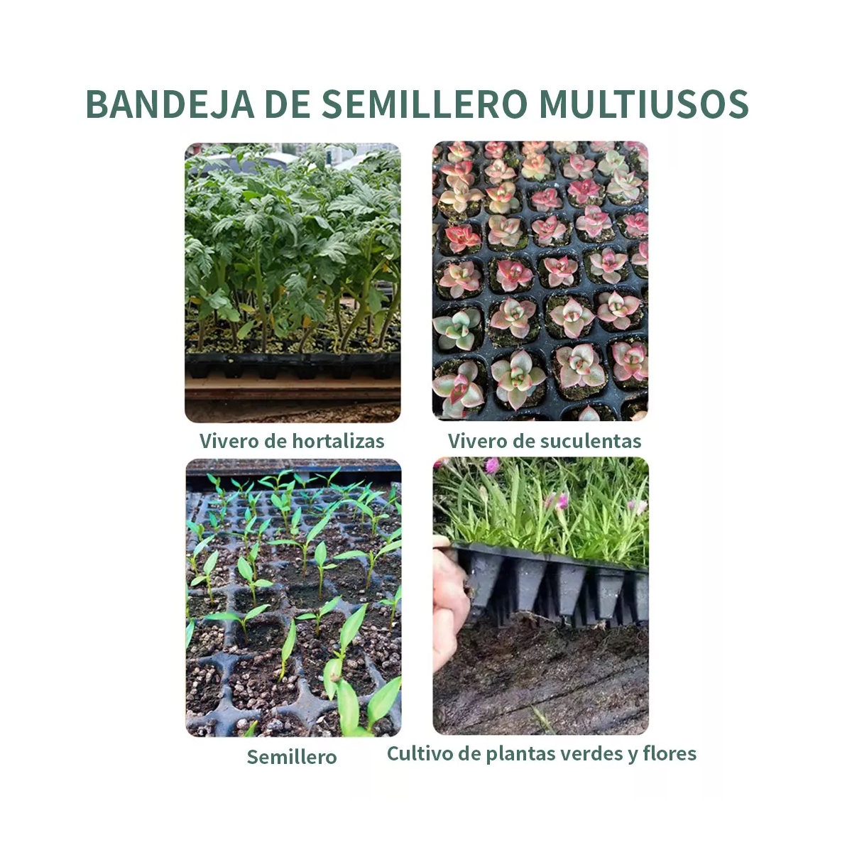 Foto 4 pulgar | Charola/bandeja De Germinación 200 Cavidades 20 Piezas Eo Safe Imports Esi-17730 Negro