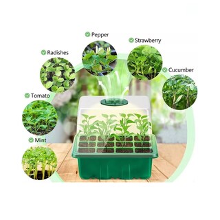 Foto 2 | Bandeja De Cultivo De Semillas Con Luz De Crecimiento, 5 Pzs Eo Safe Imports Esi-17727 Multicolor