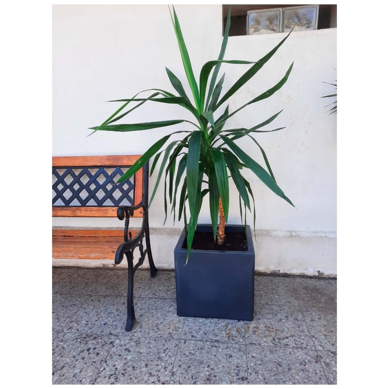 Foto 4 pulgar | Maceta De Plástico De Polietileno Para Interiores Y Exteriores, 50 Litros - Venta Internacional.