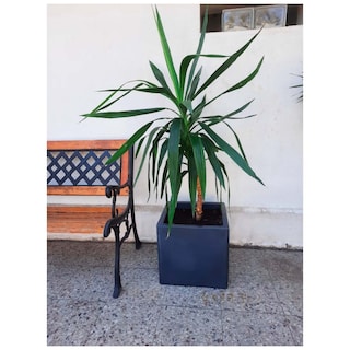 Foto 3 | Maceta De Plástico De Polietileno Para Interiores Y Exteriores, 50 Litros - Venta Internacional.