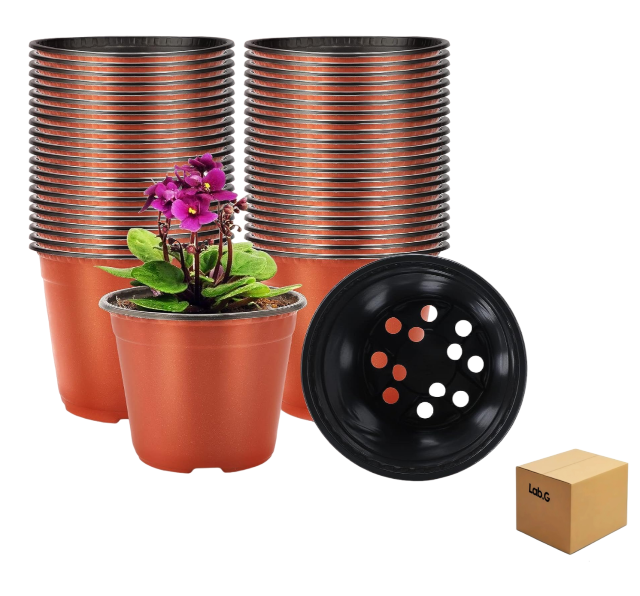 Foto 1 | Macetitas Terracota Lab.g Cactus 100 Pzs, Marron Rojizo/negro
