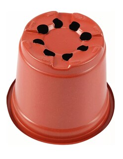 Foto 4 | Macetitas Terracota Lab.g Cactus 100 Pzs, Marron Rojizo/negro