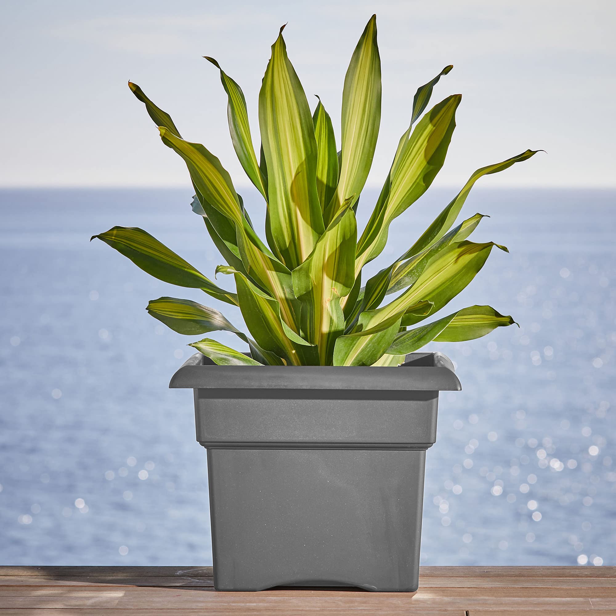 Foto 4 | Maceta Bloem Veranda, Cubierta Cuadrada, 9 Galones, Carbón Vegetal - Venta Internacional.