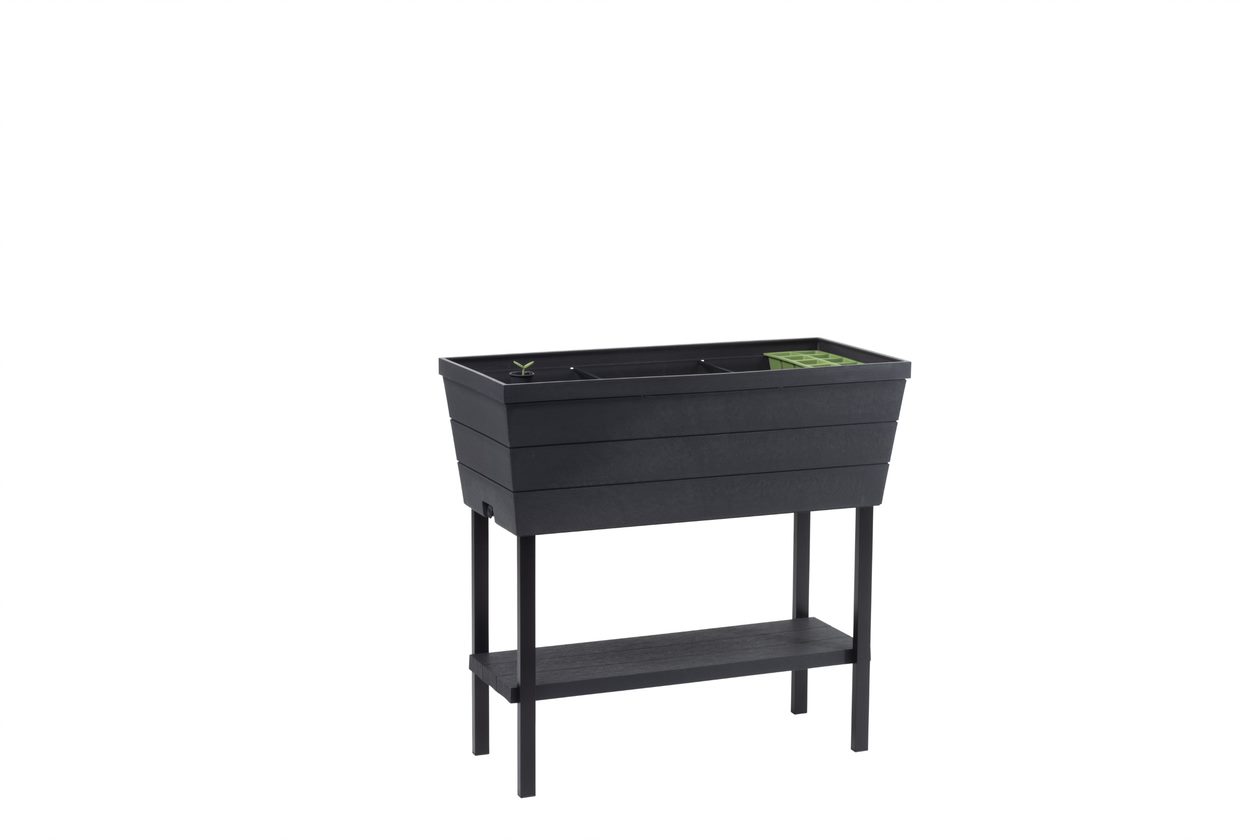 Mini Huerto En Casa Urban Bloomer Con Base Para Cultivo
