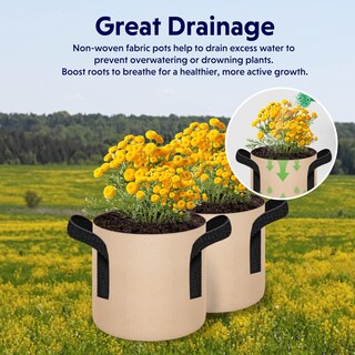 Foto 7 | Paquete De 5 Bolsas Grow Bags Ipower, Tela No Tejida, Color Canela, 4 Litros, Con Asa - Venta Internacional.