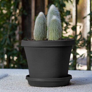 Foto 2 | Maceta Bloem Terra 12, Negra, 13 Cm De Altura Y 13 Litros De Capacidad - Venta Internacional.