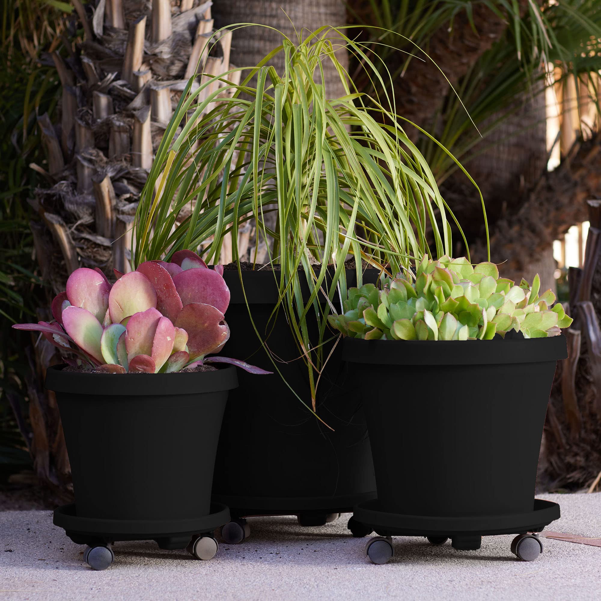 Foto 4 | Maceta Redonda Caddy Bloem Con Ruedas De Plástico Negro De 14 Pulgadas - Venta Internacional.