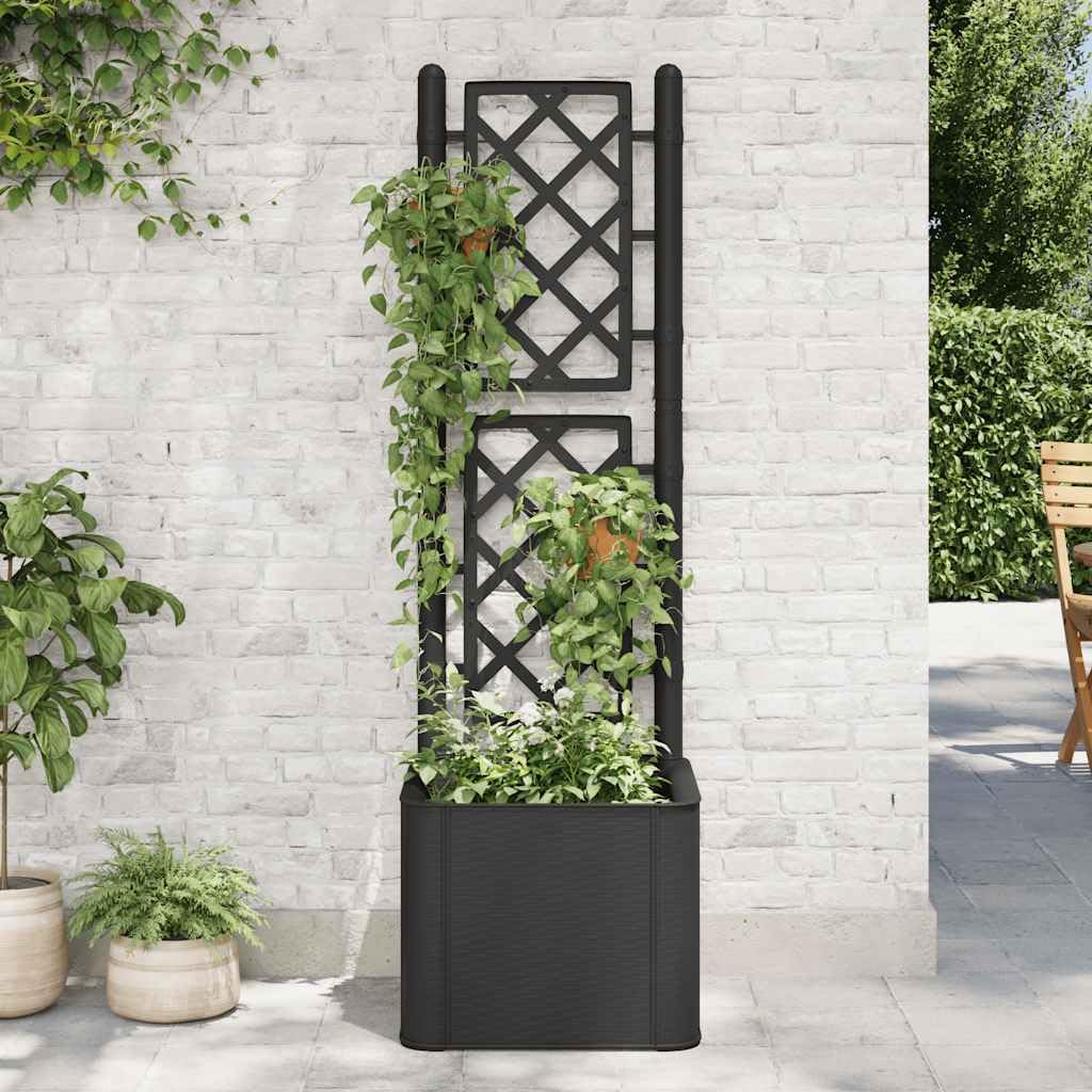 Foto 3 pulgar | Cama Elevada Para Jardín Vidaxl Con Enrejado Con Riego Automático  35 Litros  Color Antracita - Venta Internacional.