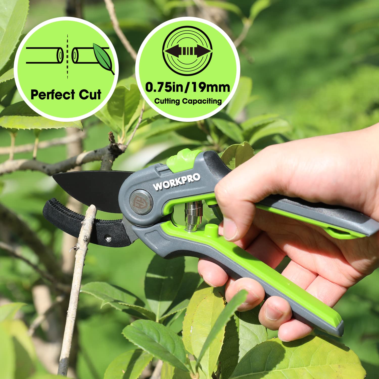 Foto 4 | Tijeras De Podar Workpro Yunque De 20 Cm Con Hojas Afiladas De Acero Sk5 - Venta Internacional.