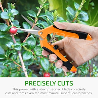 Foto 6 | Tijeras De Podar Para Jardinería Ipower Glprnr6or Con Hojas De 16,5 Cm - Venta Internacional.