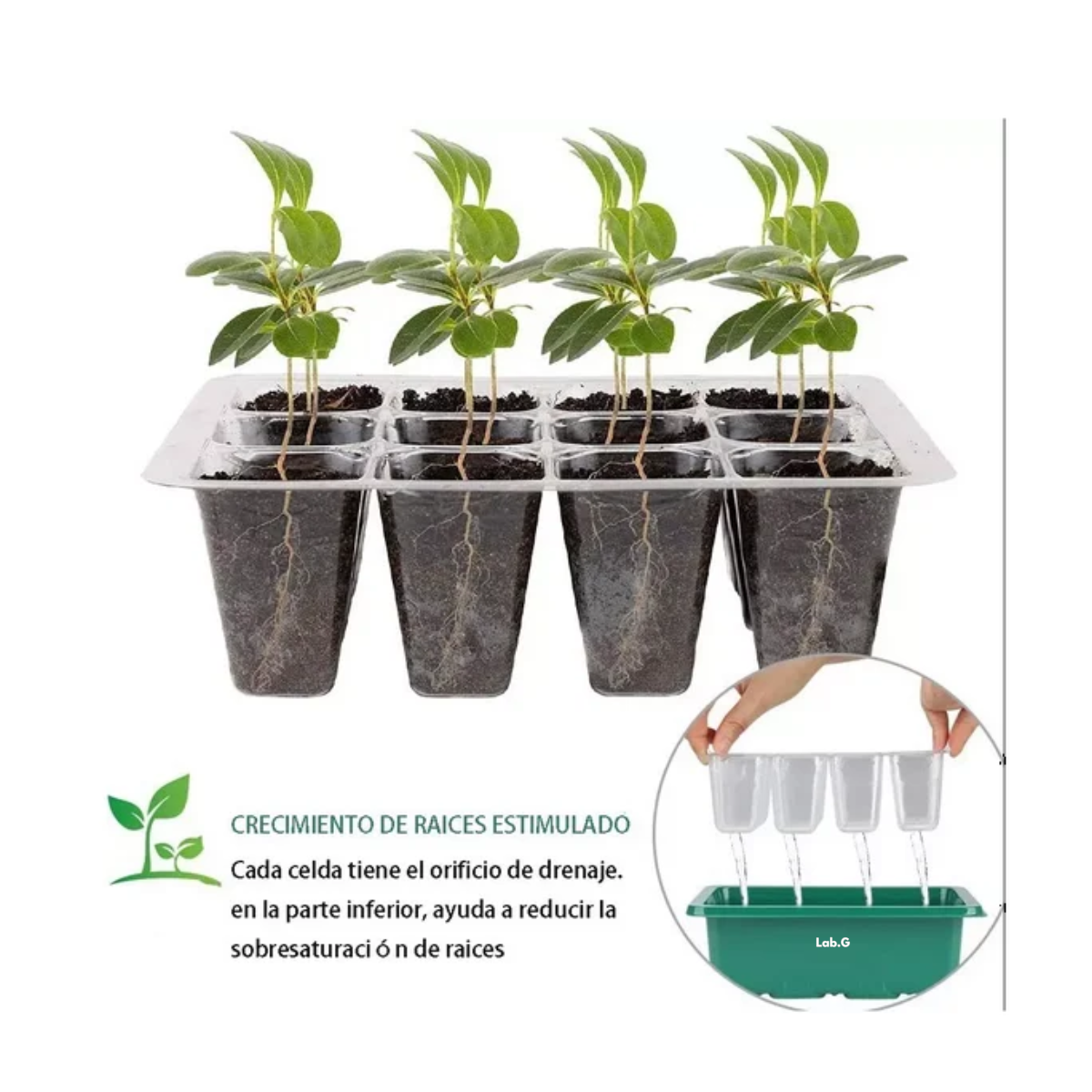 Foto 5 | Charolas Germinadoras Semillero Invernadero Tapa 10pz Lab.g Verde