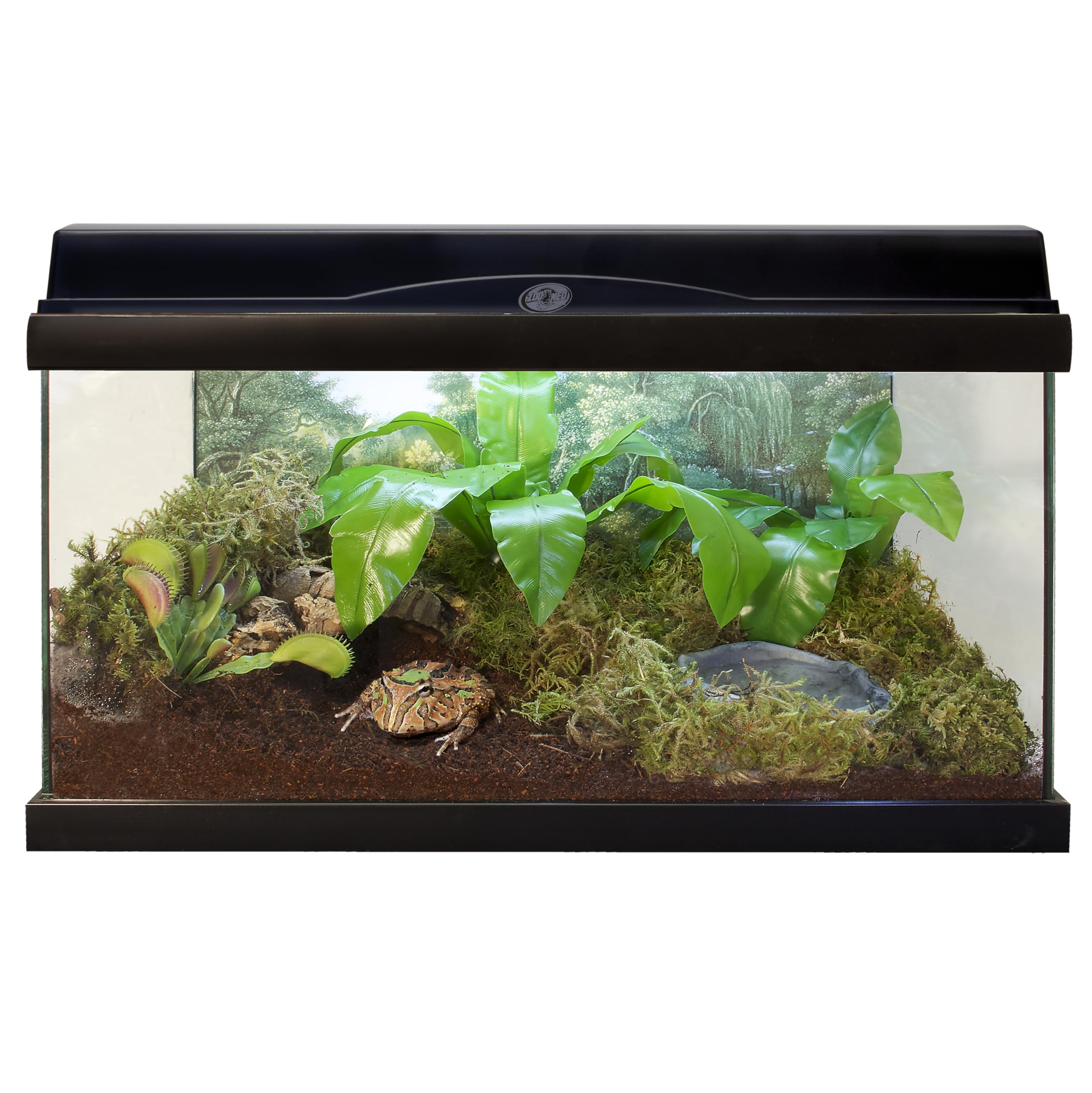 Foto 5 | Sustrato De Fibra De Coco Zoo Med Eco Earth Reptiles  Paquete De 3 - Venta Internacional.