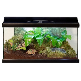 Foto 5 | Sustrato De Fibra De Coco Zoo Med Eco Earth Reptiles Paquete De 3 - Venta Internacional.